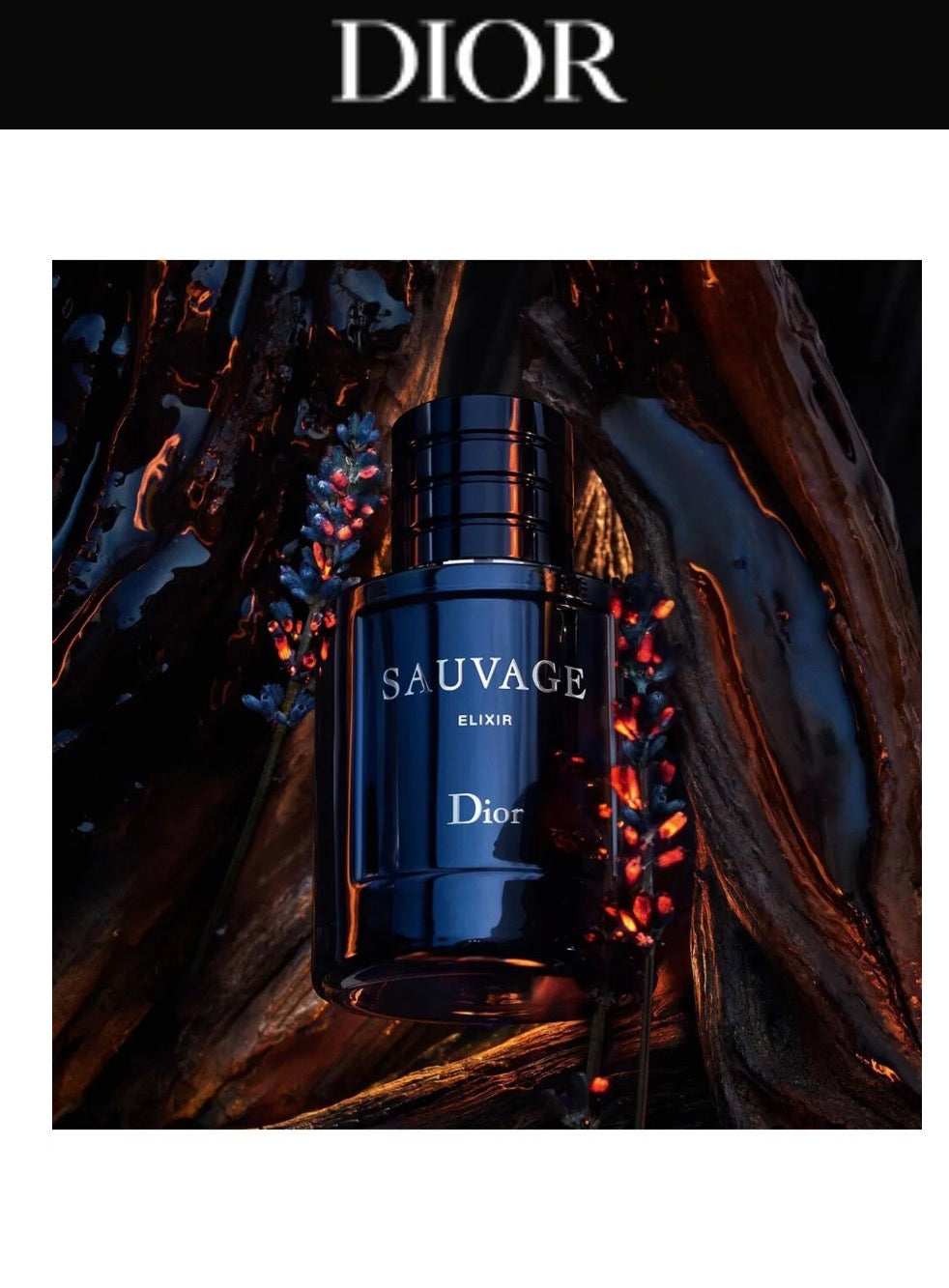 Christian Dior Sauvage Elixir 60ml